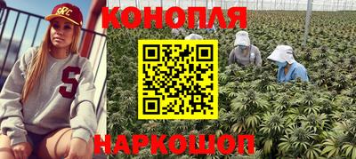 шишки Коммунар