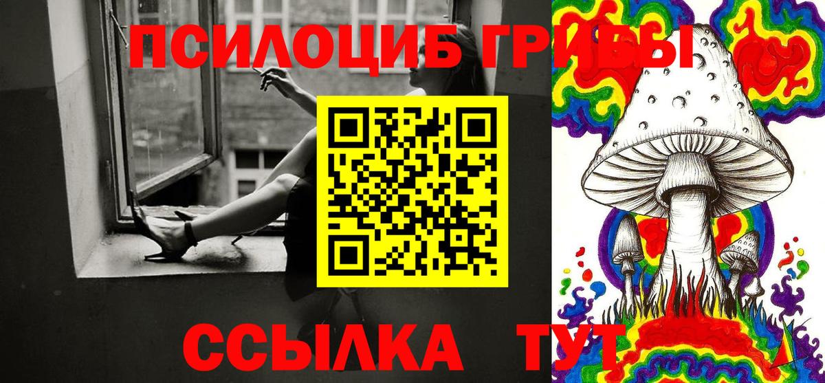 Евпатория  Псилоцибиновые грибы MAGIC MUSHROOMS  Вход с VPN 